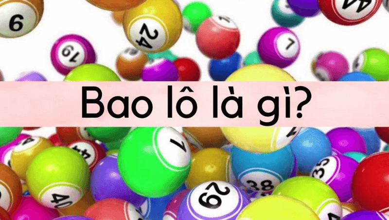 bao-lo-la-gi