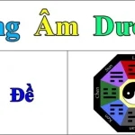 bong-am-duong