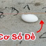 cau-co-so-de